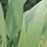 2022-09-04-10-40-57_____image_2