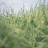 2022-09-04-10-40-57_____image_6