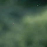 2022-09-04-10-40-57_____image_8