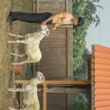 2022-10-31-12-18-09______image_5