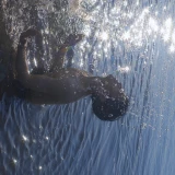 2022-12-26-17-26-23_2022_2022___image_1