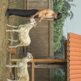 2022-12-26-17-26-23_2022_2022___image_28