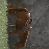 2023-04-19-12-36-06________185_image_3