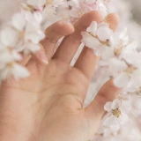 2024-03-25-14-46-20_____Kaleo______100__image_3