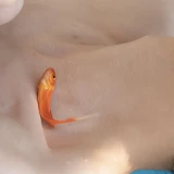 2024-07-08-14-33-00____________image_3