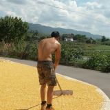 2024-08-27-18-10-31____AI__Return_________image_2