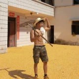 2024-08-27-18-10-31____AI__Return_________image_4