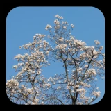 2025-02-28-22-02-05____________infp_image_1