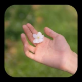 2025-02-28-22-02-05____________infp_image_4