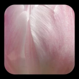 2025-02-28-22-02-05____________infp_image_5