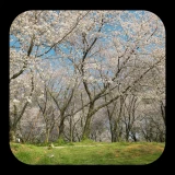 2025-02-28-22-02-05____________infp_image_6