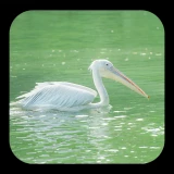 2025-02-28-22-02-05____________infp_image_7