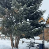 2025-12-21-18-00-41_________image_10