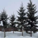 2025-12-21-18-00-41_________image_6